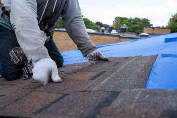 Quick and Trustworthy Emergency Roof Repair Services in Channel Lake, IL