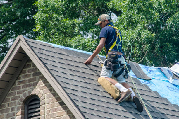 Best Roof Leak Repair  in Channel Lake, IL